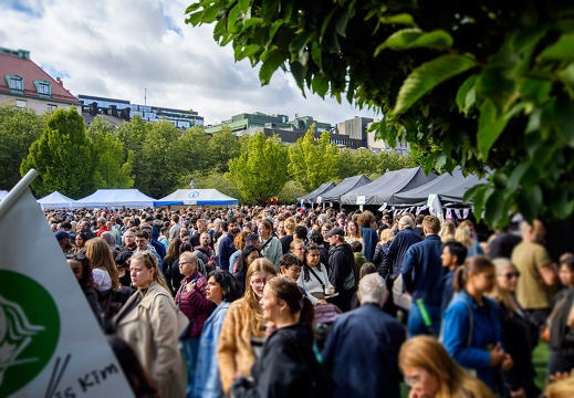 Koreafestivalen-img0009